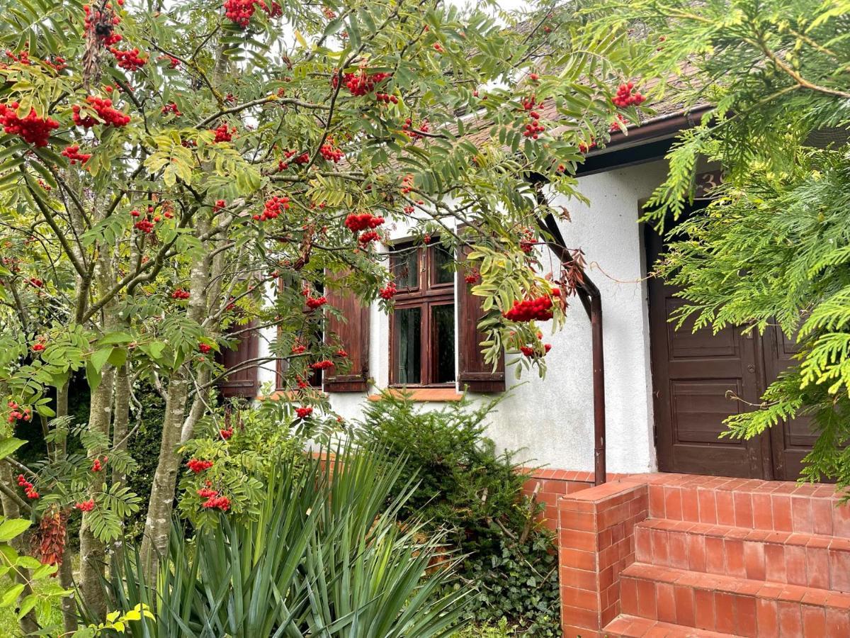 Lubin Apple Tree House别墅 外观 照片